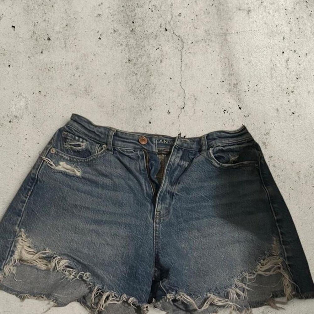 American-eagle Women's Blue and Navy Shorts
